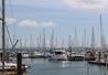 English Naturally Ragazzi - Lymingtont004